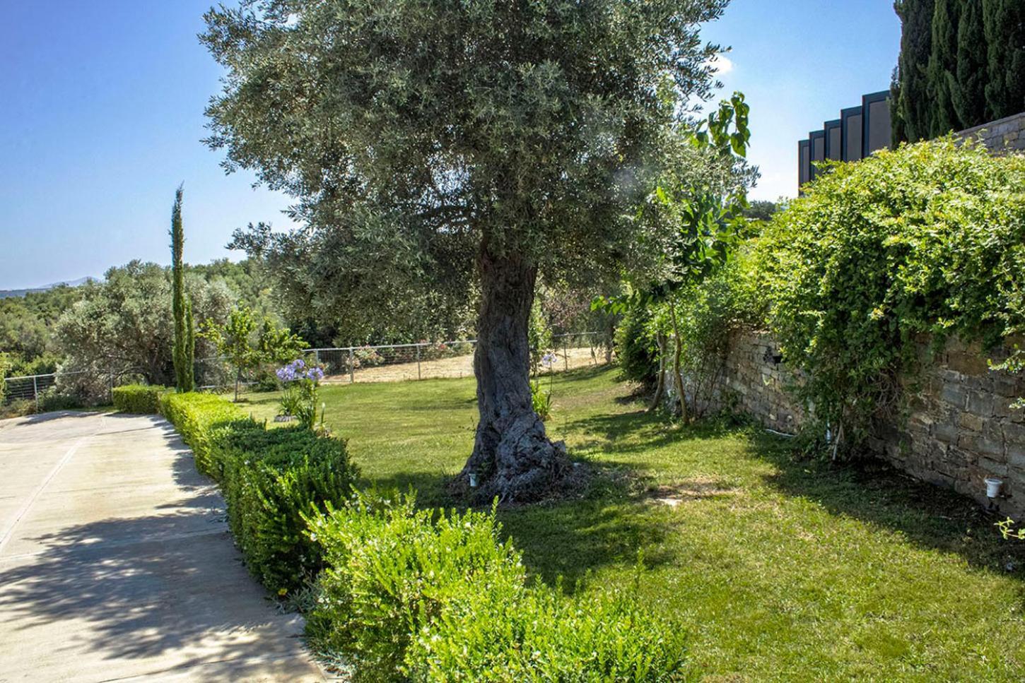 Arion Krini Villa Amnatos Exterior photo