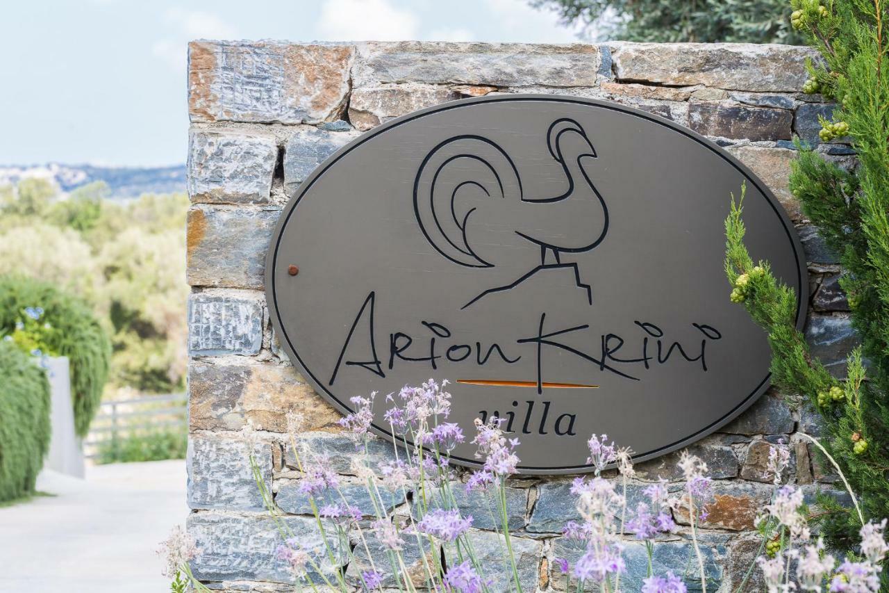 Arion Krini Villa Amnatos Exterior photo